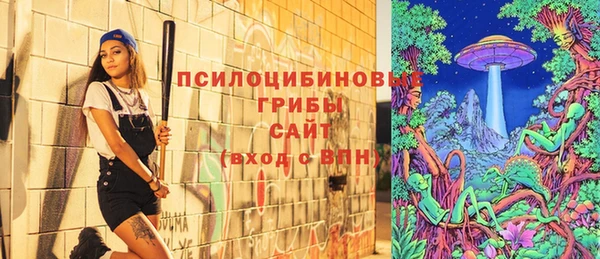 прущий лед Новозыбков