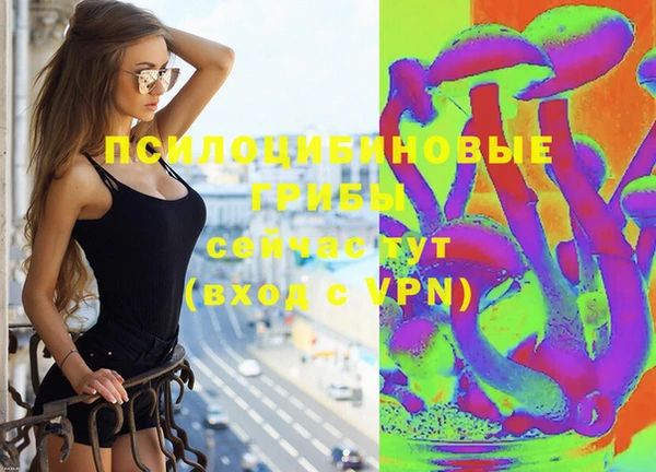 герыч Новодвинск