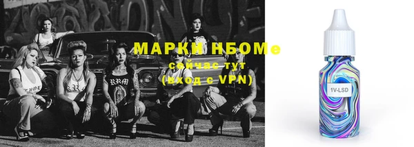 прущий лед Новозыбков