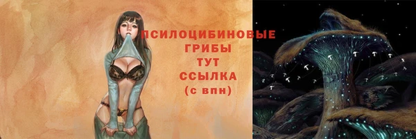герыч Новодвинск