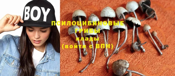 прущие грибы Нея