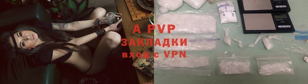 прущий лед Новозыбков