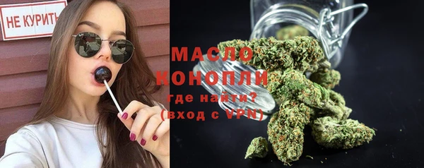 прущий лед Новозыбков