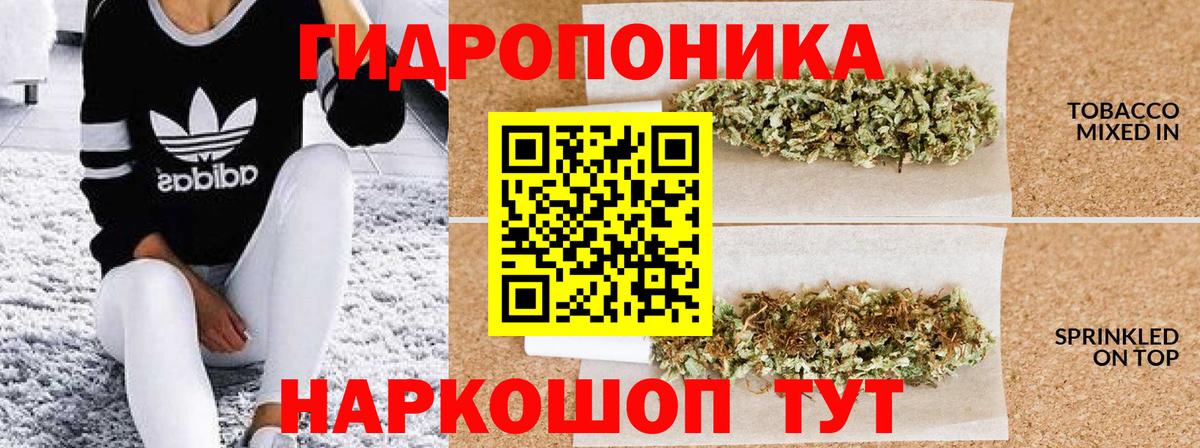 Конопля индика Москва